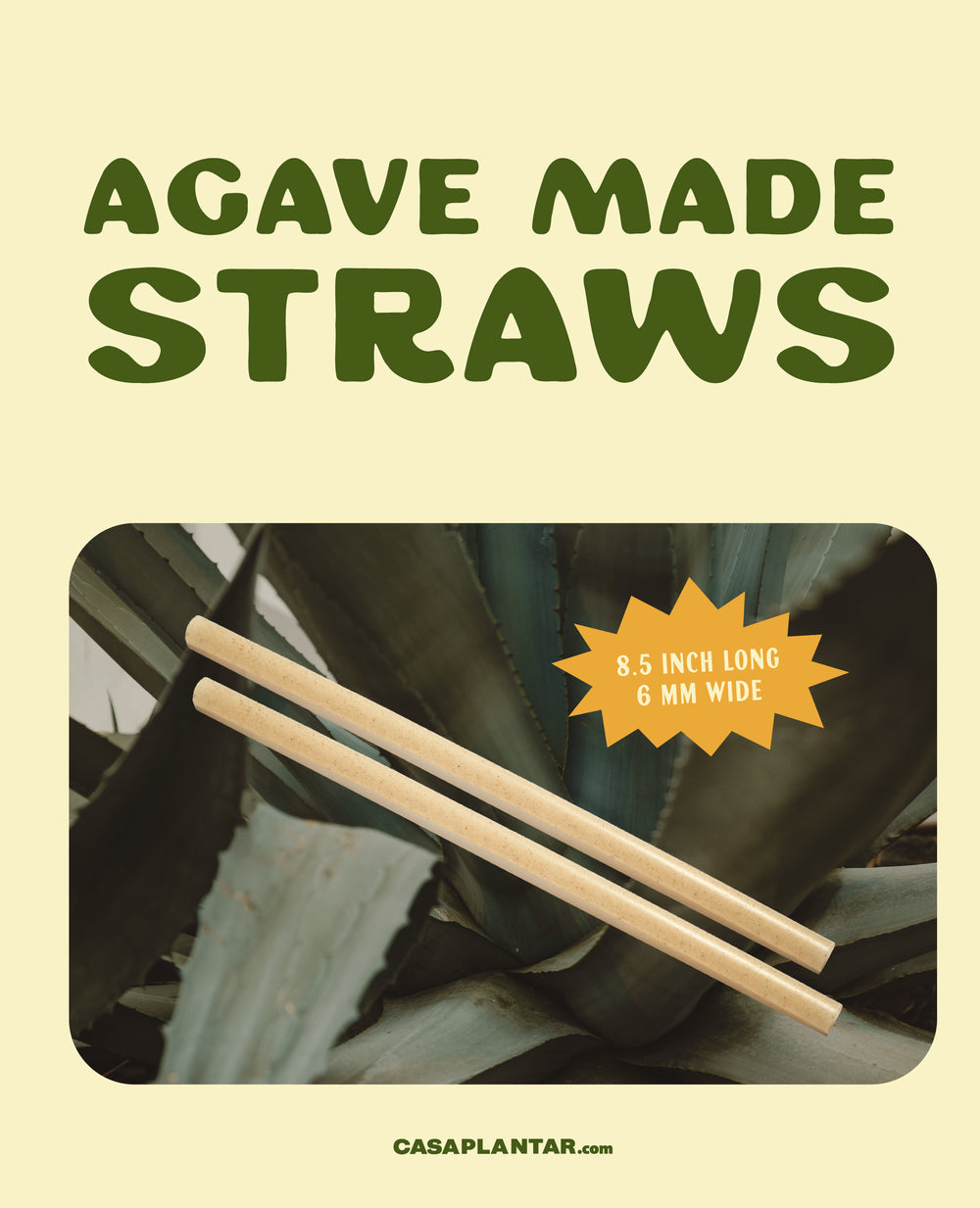 eco agave Eco-Friendly Unwrapped Agave Fiber Straws