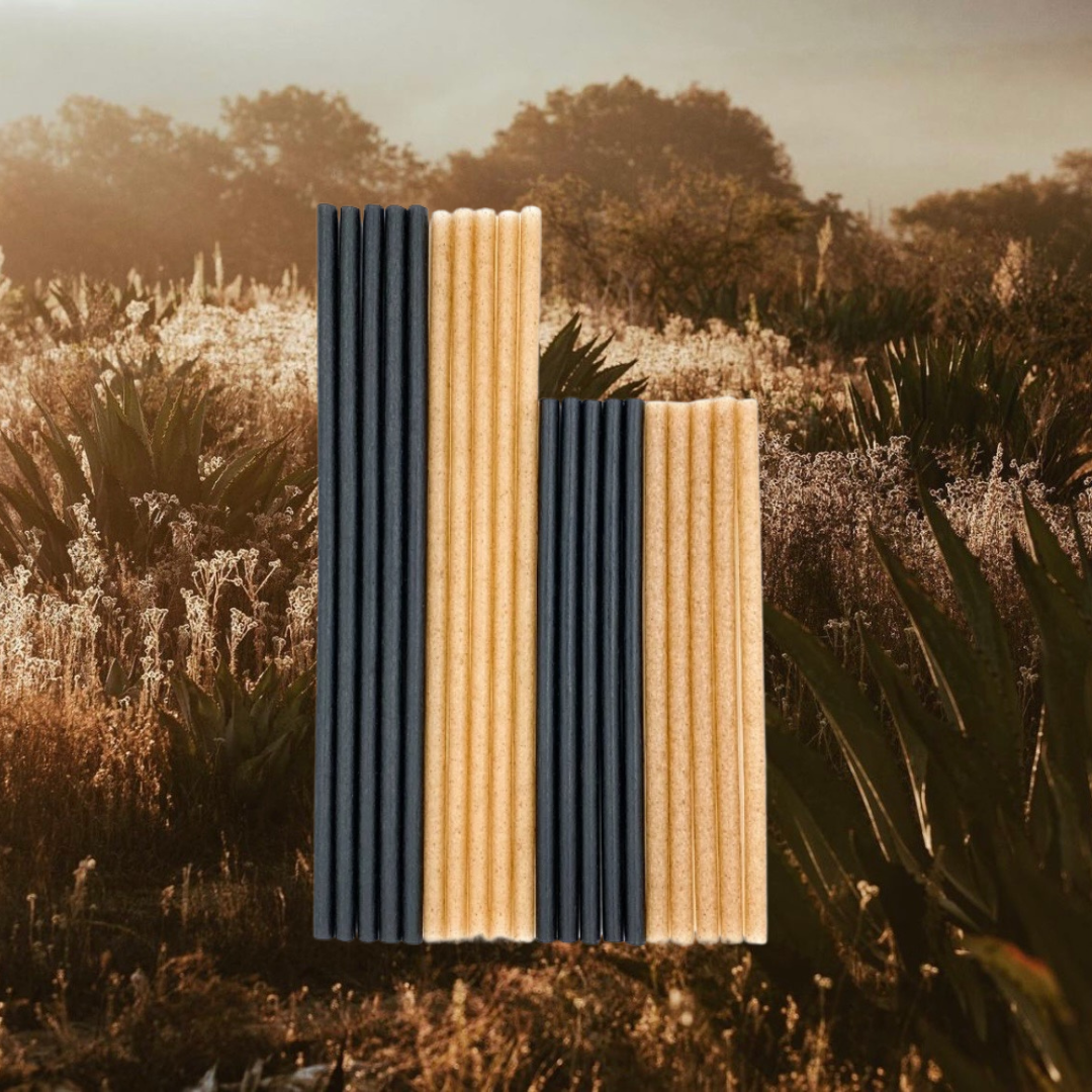 
                  
                    Agave Straw Sample Box
                  
                