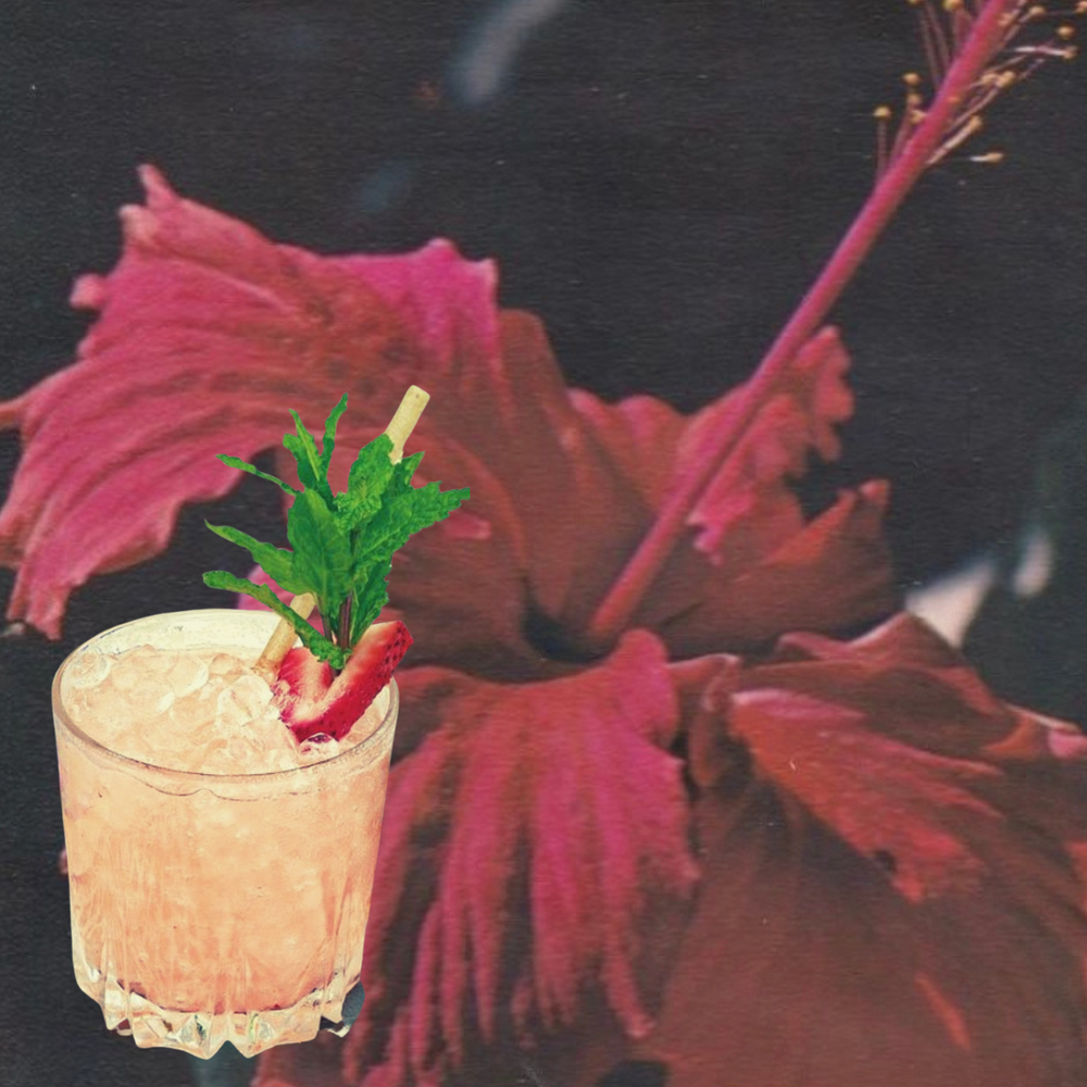 
                  
                    Agave Straws - Cocktail Size (2000ct)
                  
                
