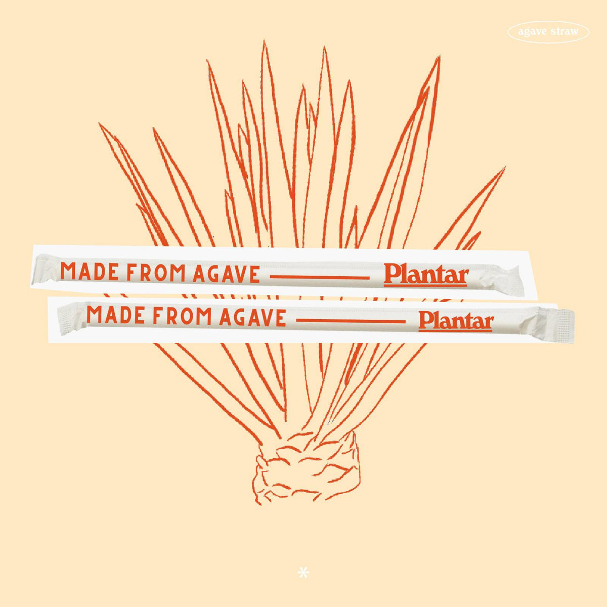 Sustainable Sample Box 20 Agave Biodegradable Straws Just Pay