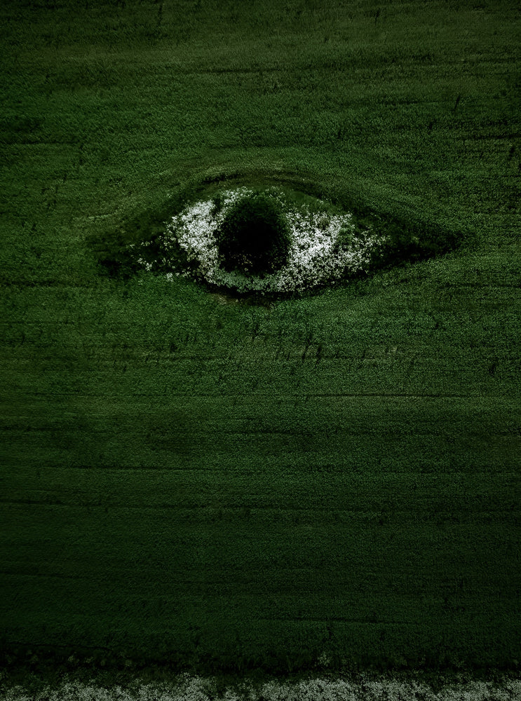 AvoStraw
