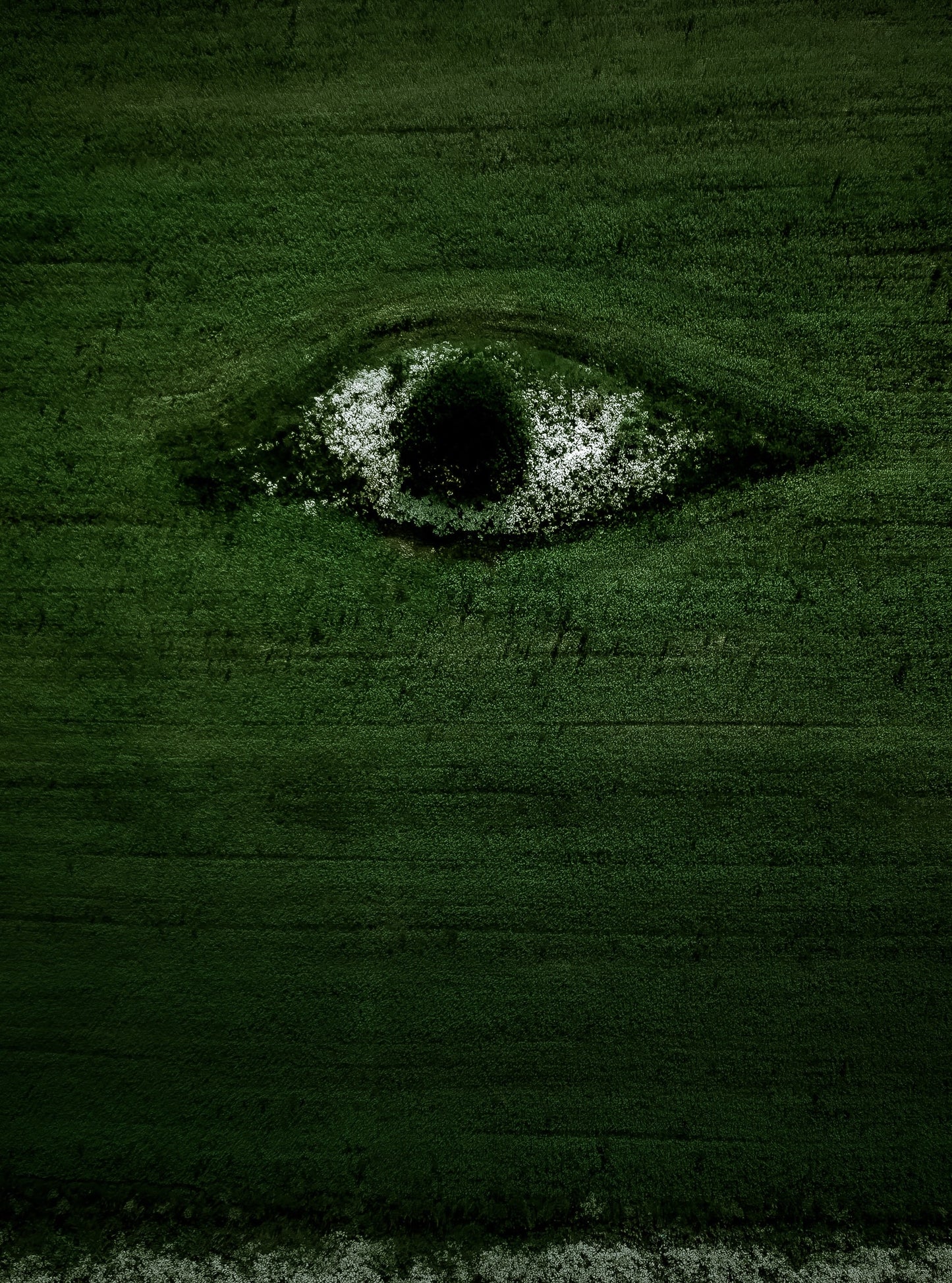 AvoStraw